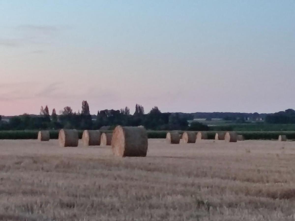 Chez Jeannot Holiday home Azay-le-Ferron