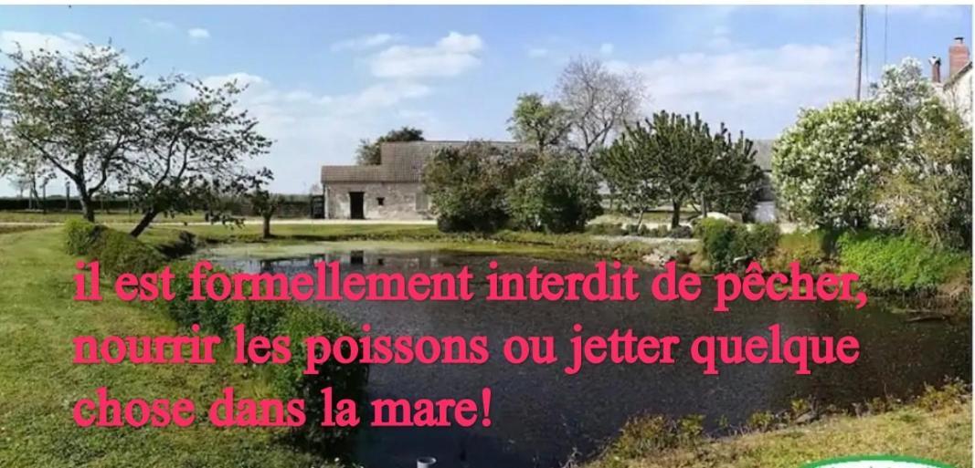 Chez Jeannot Holiday home Azay-le-Ferron